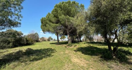 Fréjus Maison neuve - 2107723-3701annonce120250315NRg7Z.jpeg Maisons France Confort