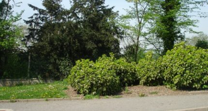 Rubelles Maison neuve - 2108098-4353annonce120250315mPXKN.jpeg Maisons France Confort