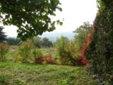 Maison à construire à Rubelles (77950) 2108098-4353annonce320250315qZv0O.jpeg Maisons France Confort