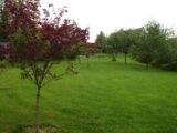 Maison à construire à Bois-le-Roi (77590) 2108100-4353annonce120250316Ps0IQ.jpeg Maisons France Confort