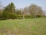 Maison à construire à Neufmoutiers-en-Brie (77610) 2108110-4353annonce120250316EOR8T.jpeg Maisons France Confort