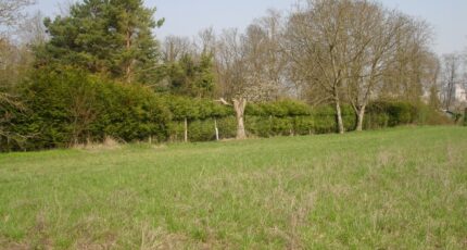 Neufmoutiers-en-Brie Maison neuve - 2108110-4353annonce120250316EOR8T.jpeg Maisons France Confort