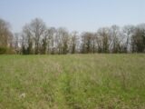 Maison à construire à Neufmoutiers-en-Brie (77610) 2108110-4353annonce220250316GSGUF.jpeg Maisons France Confort