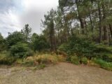 Terrain à bâtir à Lanton (33138) 2108589-9575annonce120241219vlZzh.jpeg Maisons France Confort