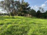 Maison à construire à Bollène (84500) 2109291-6150annonce120241020Td4Z4.jpeg Maisons France Confort