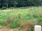 Maison à construire à Grisy-Suisnes (77166) 2113131-10626annonce120250320BZ3zi.jpeg Maisons France Confort