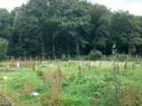 Maison à construire à Grisy-Suisnes (77166) 2113145-10626annonce120250320lckhU.jpeg Maisons France Confort