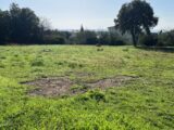 Terrain à bâtir à Taulignan (26770) 2115663-6150annonce220241114BfrVx.jpeg Maisons France Confort