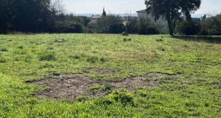 Taulignan Terrain à bâtir - 2115663-6150annonce220241114BfrVx.jpeg Maisons France Confort
