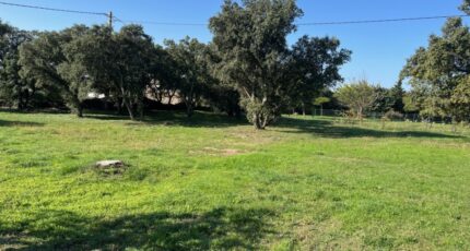 Taulignan Terrain à bâtir - 2115663-6150annonce5202411141Jftk.jpeg Maisons France Confort