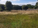 Maison à construire à Velleron (84740) 2115738-695annonce220250324mfn7g.jpeg Maisons France Confort