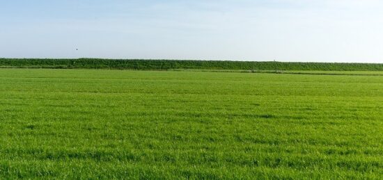 Terrain à bâtir à Abilly, Centre-Val de Loire