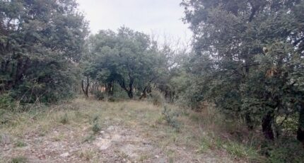 Labastide-de-Virac Maison neuve - 2118190-5100annonce120250326EAI7k.jpeg Maisons France Confort