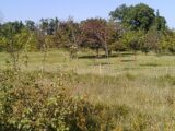 Terrain à bâtir à Pernes-les-Fontaines (84210) 2118916-695annonce420250327BTfAd.jpeg Maisons France Confort