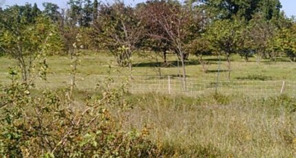 Pernes-les-Fontaines Terrain à bâtir - 2118916-695annonce420250327BTfAd.jpeg Maisons France Confort