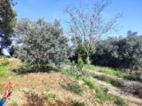 Terrain à bâtir à Solliès-Toucas (83210) 2047248-11039annonce320250110rTZUZ.jpeg Maisons France Confort