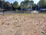 Maison à construire à Combaillaux (34980) 2048017-11040annonce120250111Z5W7T.jpeg Maisons France Confort