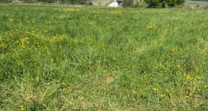 Juigné-sur-Sarthe Maison neuve - 2046192-1263annonce1202501090yT2R.jpeg Maisons France Confort