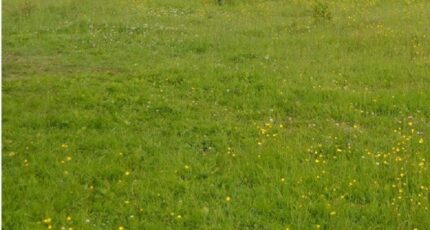 Crouttes Maison neuve - 2048527-1153annonce12024052784riV.jpeg Maisons France Confort