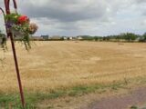 Terrain à bâtir à Auchy-les-Mines (62138) 2051392-5754annonce120250115FvrmM.jpeg Maisons France Confort