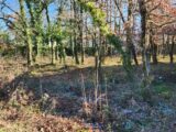 Terrain à bâtir à Réalmont (81120) 2051966-11178annonce220250115e1xqs.jpeg Maisons France Confort