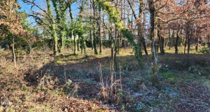 Réalmont Terrain à bâtir - 2051966-11178annonce220250115e1xqs.jpeg Maisons France Confort