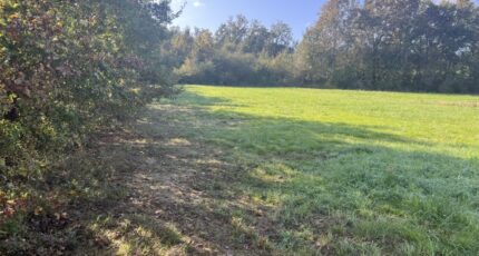 Montauban Maison neuve - 2051845-11054annonce420250115ORePL.jpeg Maisons France Confort