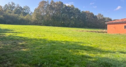 Montauban Maison neuve - 2051845-11054annonce520250115CM3xM.jpeg Maisons France Confort