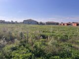 Maison à construire à Caussade (82300) 2052246-11054annonce120250115N5Rwo.jpeg Maisons France Confort