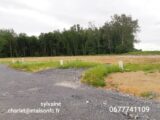 Maison à construire à Billy-Montigny (62420) 2053858-5754annonce120250116WaFvq.jpeg Maisons France Confort