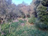 Terrain à bâtir à Camps-la-Source (83170) 2053940-11137annonce120250116MZxT4.jpeg Maisons France Confort