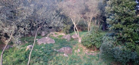 Terrain à bâtir à Camps-la-Source, Provence-Alpes-Côte d'Azur