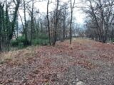 Terrain à bâtir à Trans-en-Provence (83720) 2056880-10152annonce120250120mbT2J.jpeg Maisons France Confort