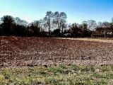Maison à construire à Altkirch (68130) 2056817-11139annonce120250120rxBph.jpeg Maisons France Confort