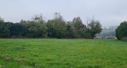 Carency Maison neuve - 2054919-6159annonce220250120lGPuK.jpeg Maisons France Confort