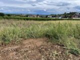 Terrain à bâtir à Beblenheim (68980) 2058363-11028annonce120240912pRbuM.jpeg Maisons France Confort