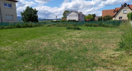 Gundolsheim Terrain à bâtir - 2058352-11028annonce120240905ySEJS.jpeg Maisons France Confort