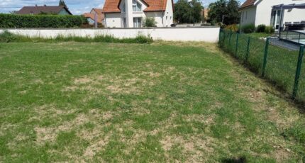 Gundolsheim Terrain à bâtir - 2058352-11028annonce220240905rOOfp.jpeg Maisons France Confort