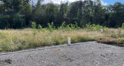 Issenheim Terrain à bâtir - 2058384-11028annonce220240915U3Pok.jpeg Maisons France Confort