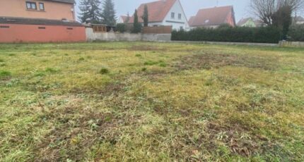 Illhaeusern Maison neuve - 2058408-11003annonce220250121uFJ6Q.jpeg Maisons France Confort