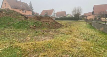 Illhaeusern Maison neuve - 2058408-11003annonce320250121HVc7G.jpeg Maisons France Confort