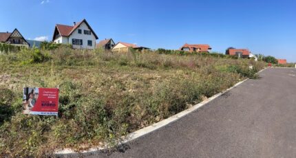 Pfaffenheim Terrain à bâtir - 2058397-11028annonce220240919iUiQ3.jpeg Maisons France Confort