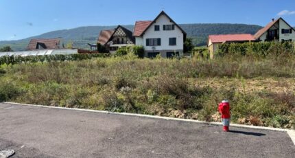 Pfaffenheim Terrain à bâtir - 2058403-11028annonce420240919tc1oz.jpeg Maisons France Confort