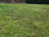 Terrain à bâtir à Buschwiller (68220) 2060570-6989annonce1202501233dOu6.jpeg Maisons France Confort