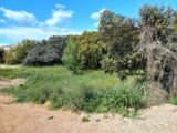 Terrain à bâtir à Canet (34800) 2062682-11040annonce120250127kMewM.jpeg Maisons France Confort