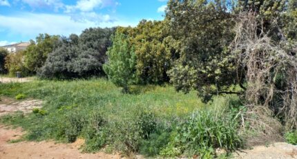 Canet Terrain à bâtir - 2062682-11040annonce120250127kMewM.jpeg Maisons France Confort