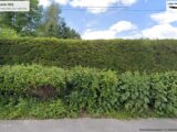 Terrain à bâtir à Tingry (62830) 2063759-11072annonce120250128WNIVc.jpeg Maisons France Confort