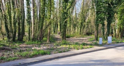 Bazancourt Maison neuve - 2067700-10076annonce120250404HTXqc.jpeg Maisons France Confort