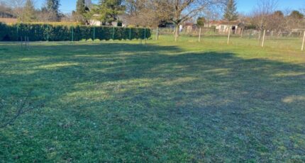 Ars Terrain à bâtir - 2073664-10974annonce120250207hRUcH.jpeg Maisons France Confort