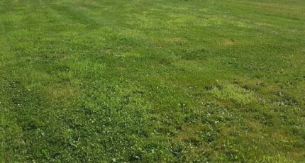 Trun Maison neuve - 2073763-1153annonce120250207OMt2A.jpeg Maisons France Confort